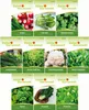 A collage of seed packets for various winter vegetables. Produktbild-Vorschau