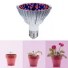A collage showing a grow light and the growth stages of a plant in a pot. Produktbild-Vorschau