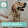 AniForte Hundeshampoo mit Kokosöl & Aloe Vera 200ml – Produktbild-Vorschau 4