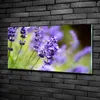Tulup® Glas-Bild - 100x50 -Wandkunst - Wandbild hinter Produktbild-Vorschau 2