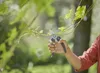EcoLine Gartenschere (schwarz/türkis, Bypass) - Gardena Produktbild-Vorschau 8