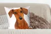 MuchoWow® Zierkissen Sofakissen Wohnzimmer Dekokissen 60x60 Produktbild-Vorschau 4