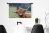 MuchoWow® Wandteppich Wandbehang Schottisches Hochlandrind Produktbild-Vorschau 4