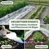 TTL GARDEN Frühbeetvlies 100m² 2x50m – 17g/m² Produktbild-Vorschau 6