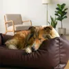 4L Textil Mario Orthopädisches Hundebett aus Kunstleder Produktbild-Vorschau 2