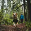Ruffwear 0573, Pes, oblek, S, Modrá, Nylon, Jednofarebné Náhľad obrázku produktu 9