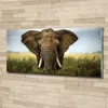 Tulup® Glas-Bild Wandbild aus Glas - 125x50 - Wandkunst - Produktbild-Vorschau 2