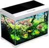 A well-lit, studio shot of a modern aquarium filled with lush green plants and several colorful fish. Anteprima dell’immagine prodotto