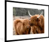 MuchoWow® Gerahmtes Poster Schottische Highlander - Tiere - Produktbild-Vorschau 1