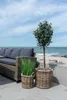 Gili Korbset mit 2 Stk. natur. Produktbild-Vorschau 2
