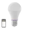 A smart LED light bulb and a smartphone displaying a control app. Náhled obrázku produktu