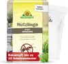 Neudorff Nützlinge gegen Ameisen – 10 Mio. SF-Nematoden Produktbild-Vorschau 1