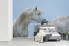 MuchoWow® Fototapete für Wohnzimmer oder Schlafzimmer Produktbild-Vorschau 5