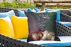 MuchoWow® Outdoor Kissen - Torso - Stilleben - Produktbild-Vorschau 4