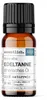 Edeltannenöl  (10ml) - naturreines, ätherisches Öl von Produktbild-Vorschau 1