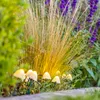 Lampada solare Lumisky Champy White Anteprima dell’immagine prodotto 6