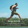 Sango-Meereskoralle-Kapseln - Calcium & Mangesium, im Produktbild-Vorschau 4