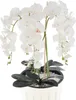 Künstliche Orchidee Weiß Kaskaden Blumenstrauß im Topf mit Produktbild-Vorschau 3
