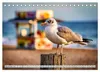 Ostsee Momente (Tischkalender 2027 DIN A5 quer), CALVENDO Produktbild-Vorschau 6