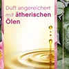 Glade by Brise Automatic Spray Relaxing Zen, Drinnen, 18 Produktbild-Vorschau 10