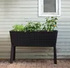 A raised garden planter with plants in front of a weathered wooden wall and window. Voir les images du produit