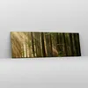 Bild auf Leinwand - Leinwandbild - Wald Baum Natur - Produktbild-Vorschau 4