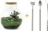 Urbanjngl Flaschengarten Teddy - 26.5 cm Produktbild-Vorschau 6