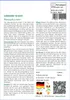 SAFLAX - Sukkulenten - Lebender Granit - 40 Samen - Produktbild-Vorschau 3