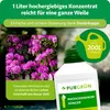 Purgrün Rhododendrondünger 1 Liter, Produktbild-Vorschau 4
