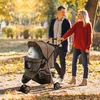 PawHut Hondenwagen, Hondenbuggy, Kattenwagen, Dierenbuggy, Productafbeelding-voorbeeld 2