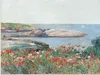 ARTland Wandbild Alu für Innen & Outdoor Poppy, Isles of Produktbild-Vorschau 2