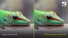 Streaming-Inhalte auf Nvidia Shield TV Pro Produktbild-Vorschau 9