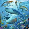 Tierwelt des Ozeans Ravensburger 05149 Produktbild-Vorschau 3