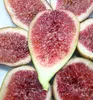 A close-up view of several halved figs, showcasing their interior texture and seeds. Produktbild-Vorschau