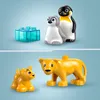 LEGO DUPLO Town Rodziny Dzikich Zwierząt: Pingwiny i Lwy, Podgląd zdjęcia produktu 4