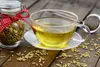 SAFLAX - BIO - Cibulka fenyklu - Foeniculum vulgare var. Náhled obrázku produktu 5