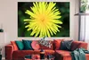 MuchoWow® Poster Makro - Sonnenblume - Gelb 180x120 cm - Produktbild-Vorschau 2