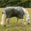 BUSSE Fliegendecke Rainfly Regendecke Light Olive 155 Produktbild-Vorschau 5