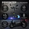 eFlux Lite Six E-Scooter | Mit Straßenzulassung - E-Roller Produktbild-Vorschau 2