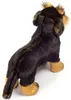 Teddy-Hermann Teddy Hermann Rauhaardackel, 28 cm Produktbild-Vorschau 3