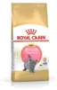 Royal Canin British Shorthair Kitten, Kitten, Britisch Produktbild-Vorschau 6
