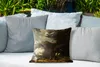 MuchoWow® Outdoor Kissen - Eine Henne mit Küken, bedroht Produktbild-Vorschau 4