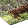 MuchoWow® MuchoWow® Gerahmtes Poster Wald - Schottisches Produktbild-Vorschau 7