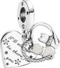 A close-up studio shot of a silver charm with two cats inside a heart shape and text on a heart-shaped pendant. Anteprima dell’immagine prodotto