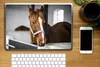 MuchoWow® Laptop Aufkleber Sticker Cover Pferd - Braun - Produktbild-Vorschau 2