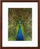 Cadre Goldbuch en bois de pin 20 x 25 cm, finition acajou, Voir les images du produit 1