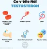 BrainMax Testoboss 100 kapslí | Kotvičník Maca Ashwagandha Náhled obrázku produktu 3