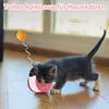 Katzenspielzeug, Selbstbeschäftigung, Katzen-Teaser, Produktbild-Vorschau 6