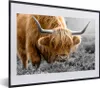 MuchoWow® MuchoWow® Gerahmtes Poster Schottisches Produktbild-Vorschau 1