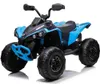 Can-am ATV Quad Kinderfahrzeug Elektrofahrzeug Kinderquad Produktbild-Vorschau 3